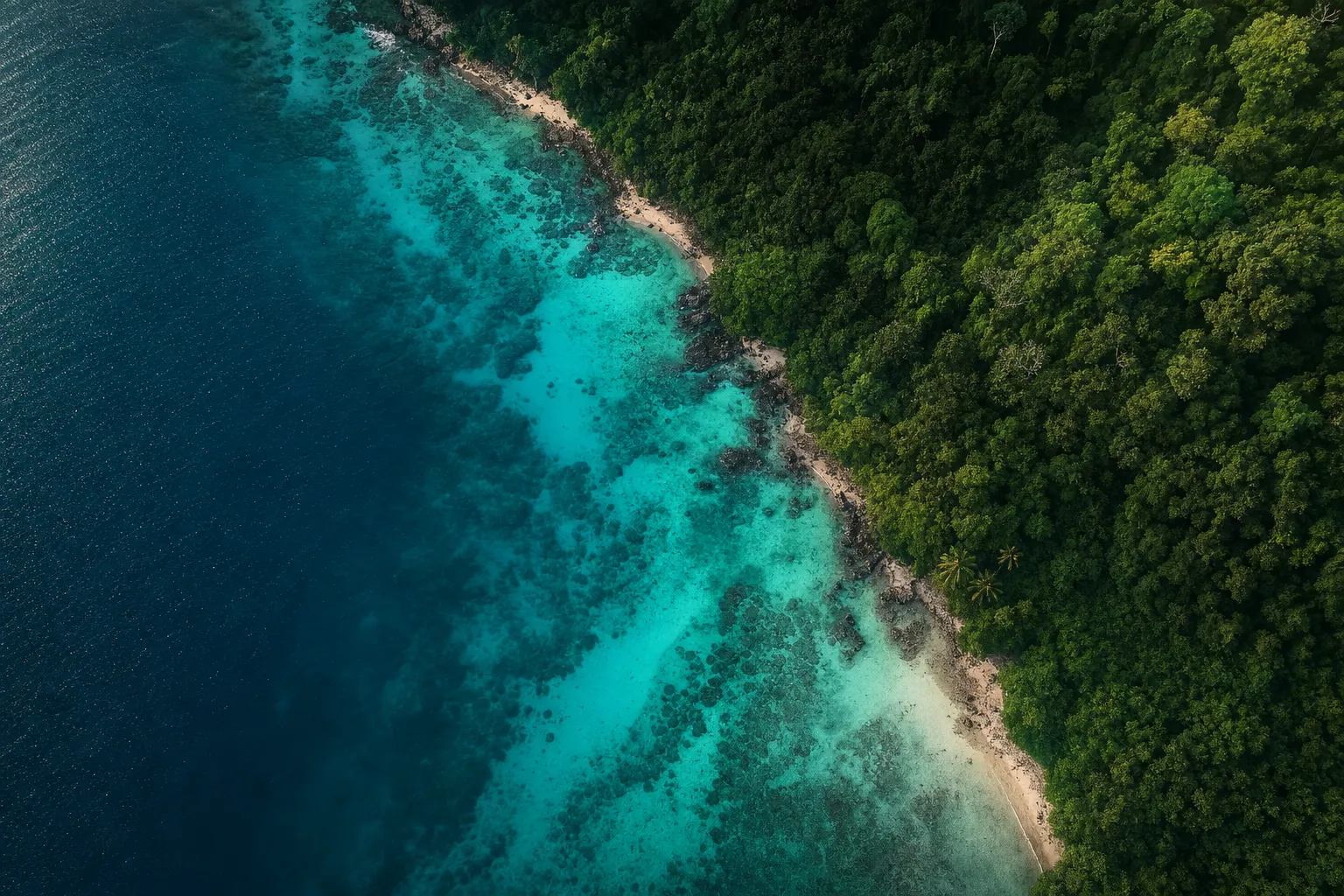 Aerial view from turquoise shallows to green forest